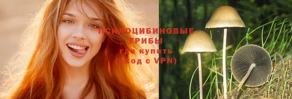трава Няндома