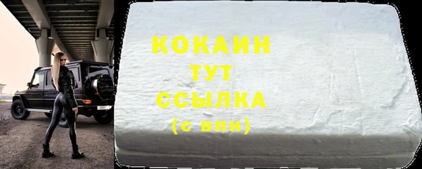 трава Няндома