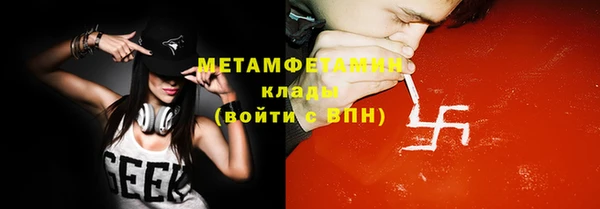 трава Няндома