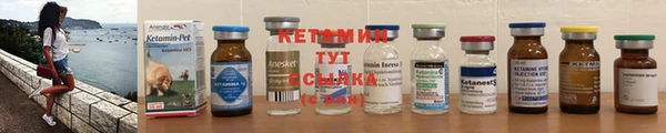 трава Няндома
