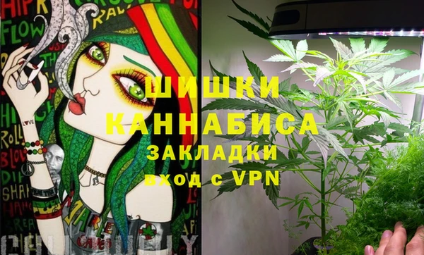 трава Няндома