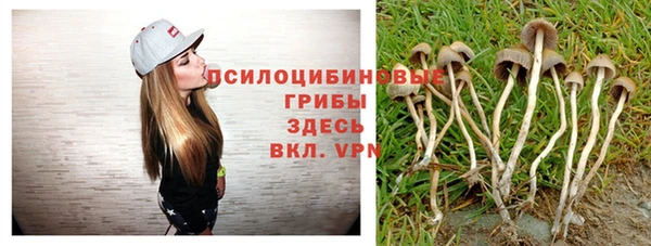СК Нягань