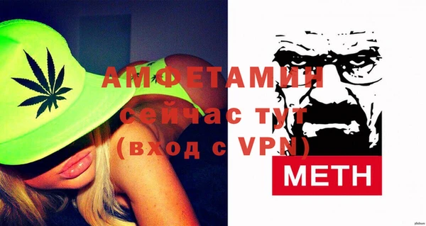 трава Няндома