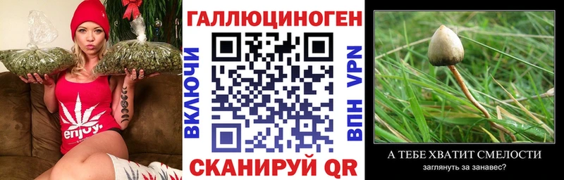Галлюциногенные грибы мицелий  Купить закладки  Ак-Довурак 