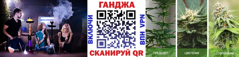 Купить  Ак-Довурак  Марихуана семена 